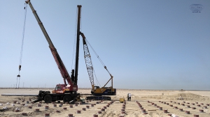 پروژه بید بلند